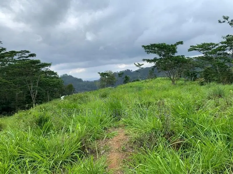 Land For Sale Pussellawa