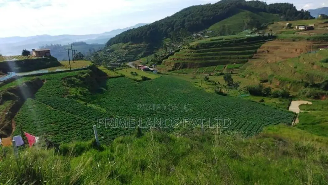 Land For Sale Ambewela