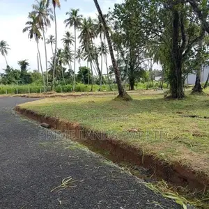 පැල්ලන්දෙණිය හන්දියෙන්ම සුපිරි ඉඩමක්