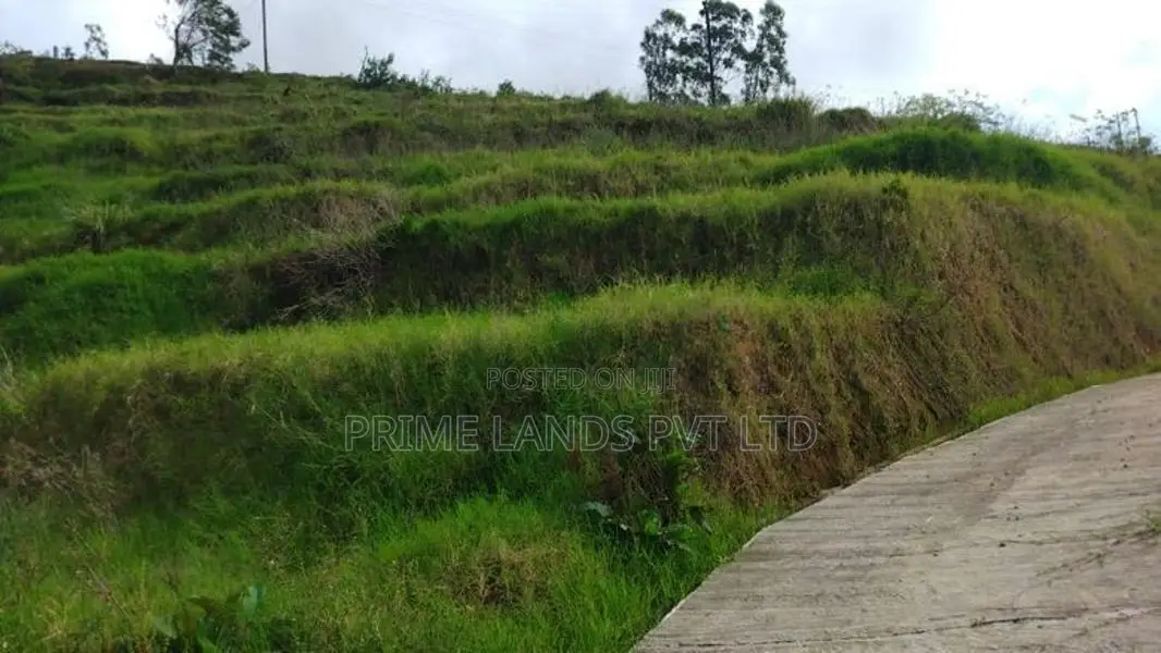 Land For Sale Ambewela