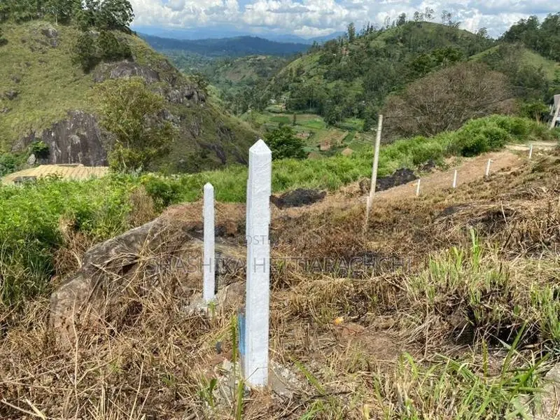 Residential Land for Sale in Boragas, Nuwara Eliya