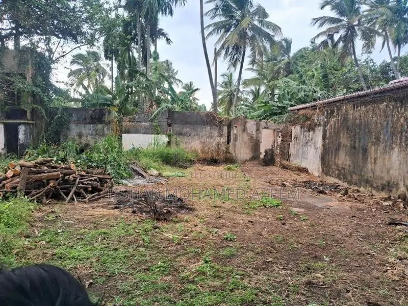 Land for Sale Mount Lavinia