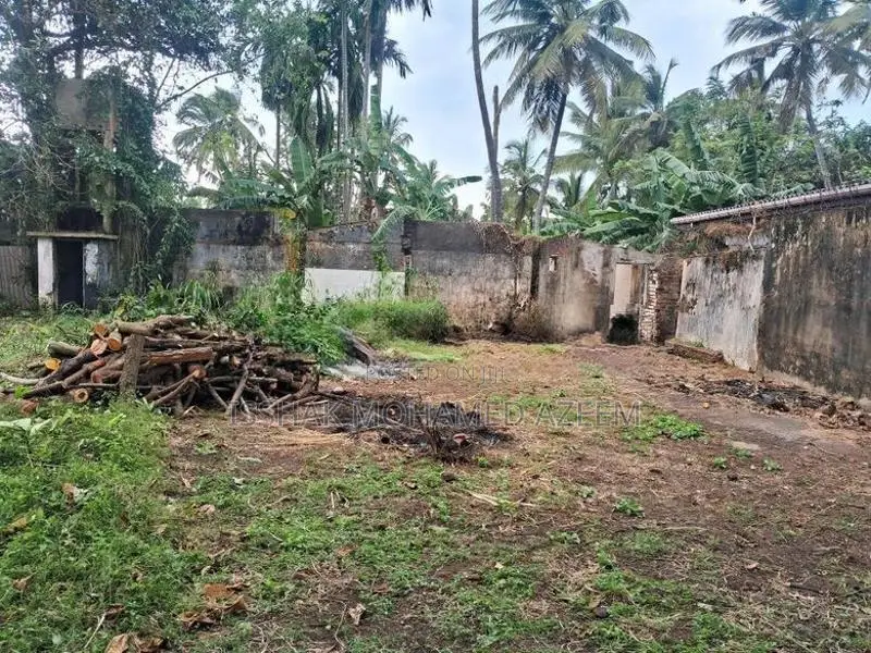 Land for Sale Mount Lavinia