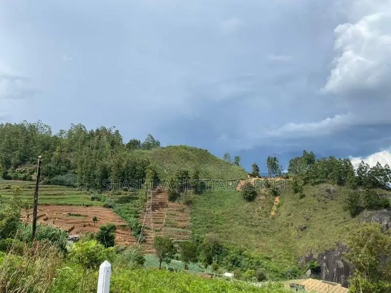 Residential Land for Sale in Boragas, Nuwara Eliya