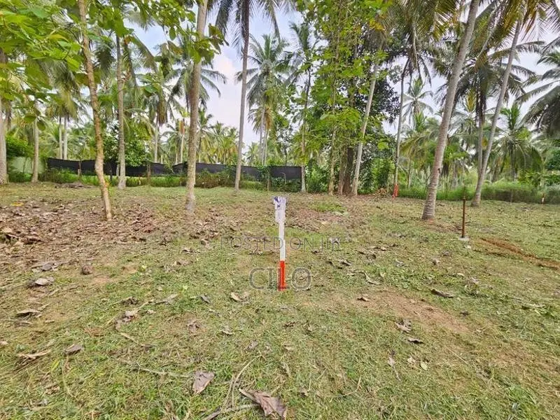 පන්නල – නුගවැල හන්දිය අසල පර්චස් 15 බිම් කොටස් විකිණීමට