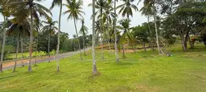 Aluthgama Land for Sale