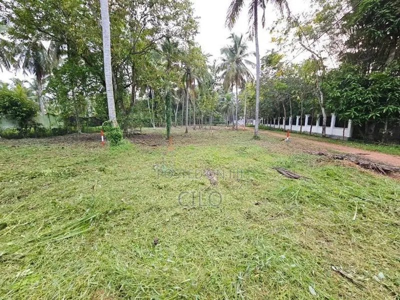 පන්නල – නුගවැල හන්දිය අසල පර්චස් 15 බිම් කොටස් විකිණීමට