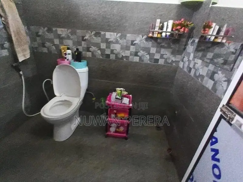 Piliyandala Dampe 3 BR newly build house for sale .
