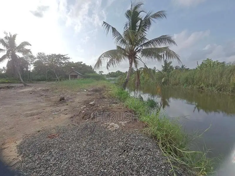 Front Land Slots for Sale in Jaela