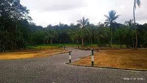 Residential Land for Sale in Meepe