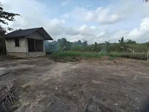Front Land Slots for Sale in Jaela