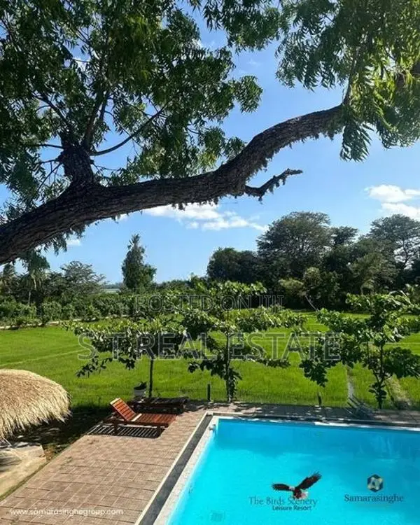 Paddy Field Facing Luxury Villa For Sale in Tissamaharama