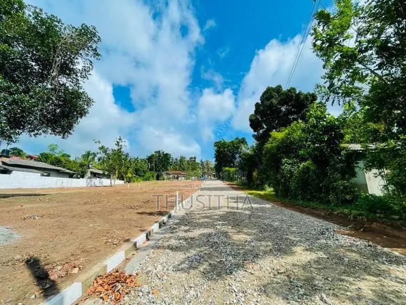 Udugampola නගරයට ආසන්නයෙන් හොද ඉඩමක්
