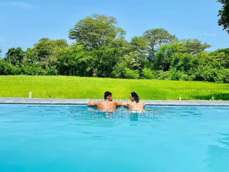 Paddy Field Facing Luxury Villa For Sale in Tissamaharama