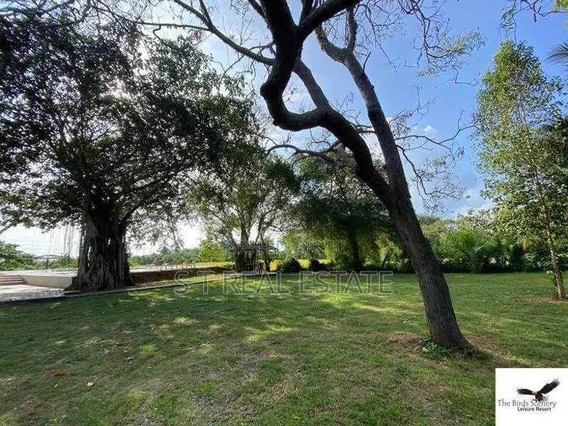 Paddy Field Facing Luxury Villa For Sale in Tissamaharama