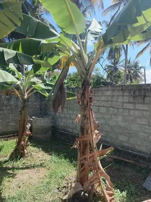 10 Perch Residential Land for Sale – Marawila