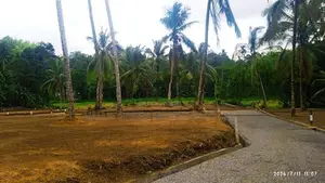 මීපේ බස් පාරෙන් බිම් කොටස්