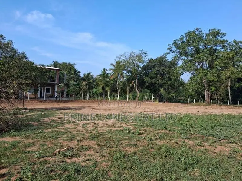 දඹුල්ල මහනගරසභා සීමාවෙන්ම සින්නක්කර බිම්කොටස්