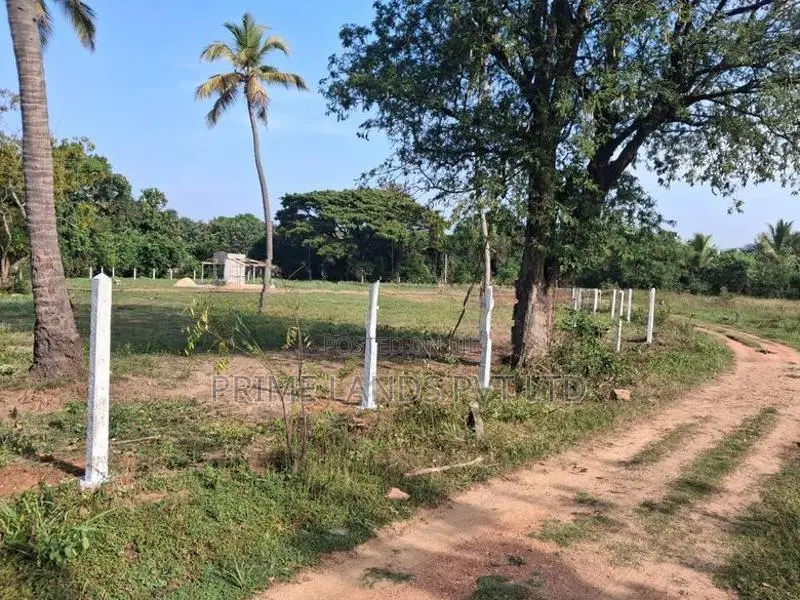 දඹුල්ල මහනගරසභා සීමාවෙන්ම සින්නක්කර බිම්කොටස්