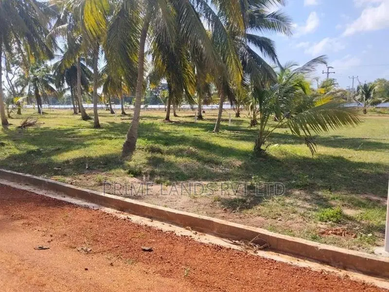 නාච්චාදූව නගරයට නුදුරින් සින්නක්කර බිම්කොටස්