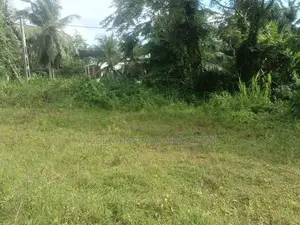 Land for Sale in Pannipitiya-Mahalwarawa