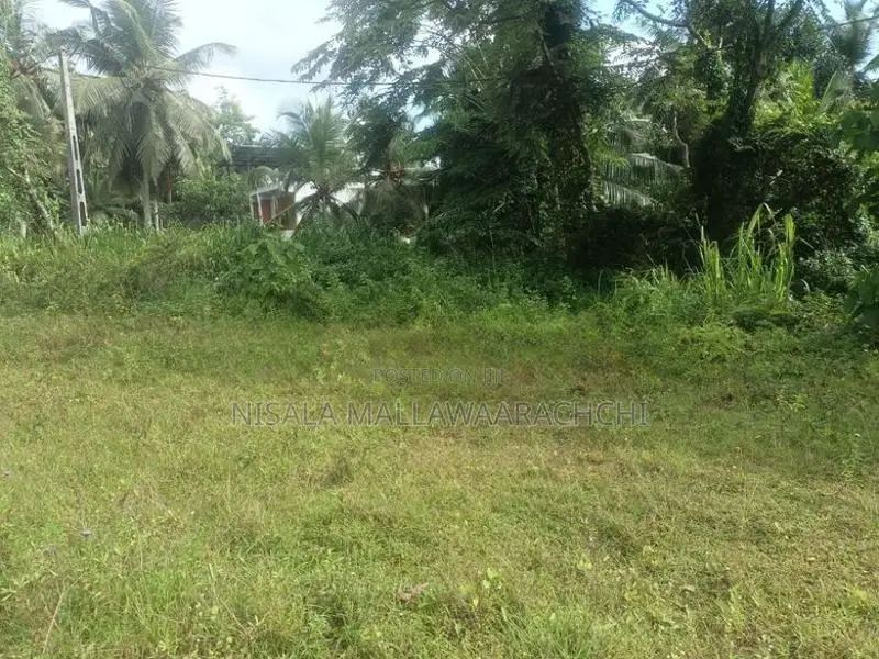 Land for Sale in Pannipitiya-Mahalwarawa