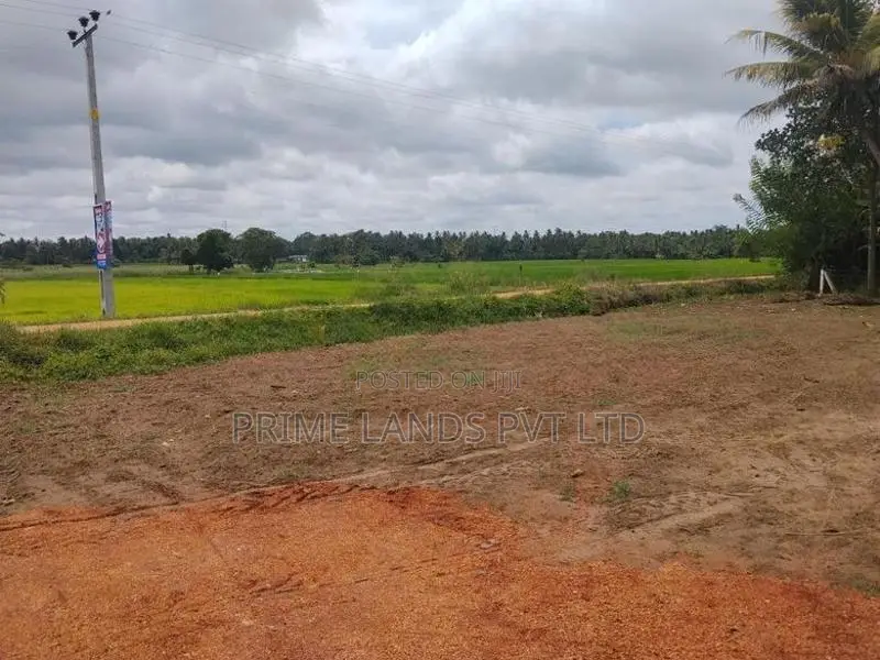 නාච්චාදූව නගරයට නුදුරින් සින්නක්කර බිම්කොටස්