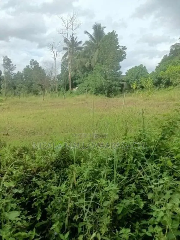 Land for Sale in Pannipitiya-Mahalwarawa