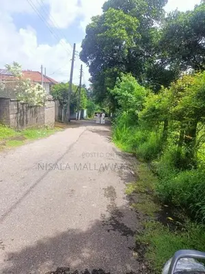 Valuable Land for Sale in Kottawa