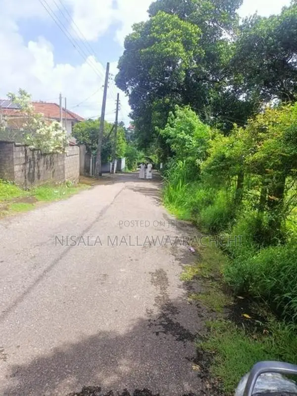 Valuable Land for Sale in Kottawa