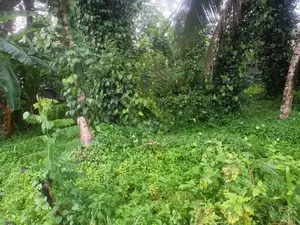 Valuable Land for Sale in Hokandara