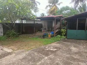 Valuable Land for Sale in Pannipitiya