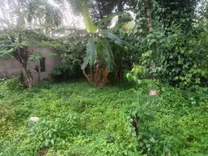 Valuable Land for Sale in Hokandara