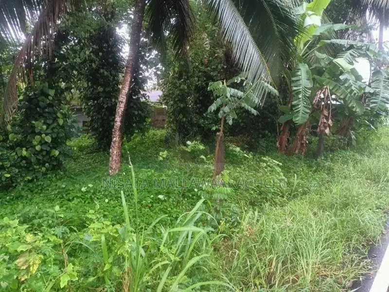 Valuable Land for Sale in Hokandara