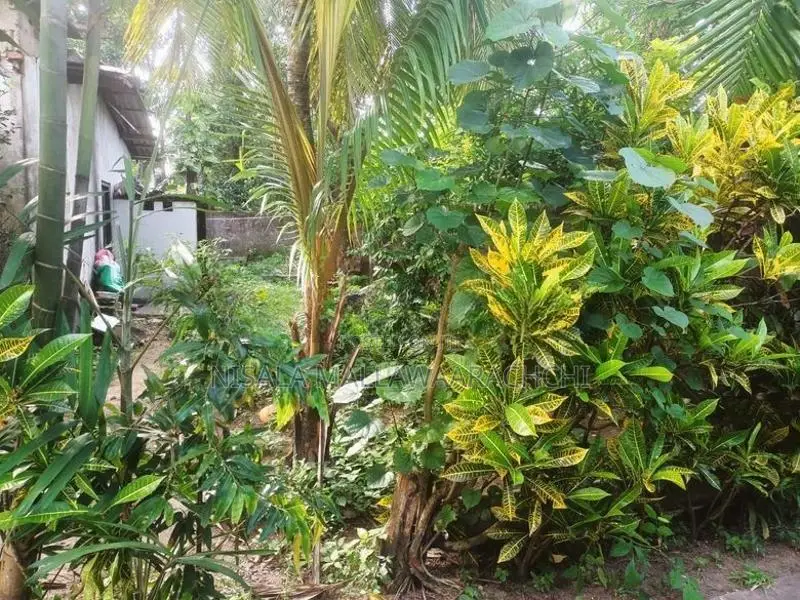 Valuable Land for Sale in Piliyandala- Maharagama Road