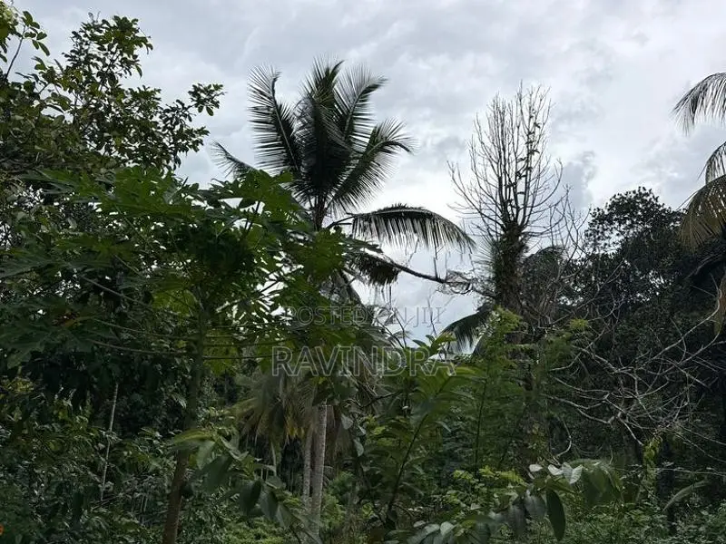 Prime Land for Sale in Pelmadulla