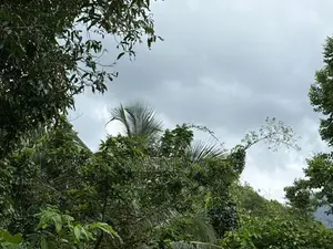 Prime Land for Sale in Pelmadulla