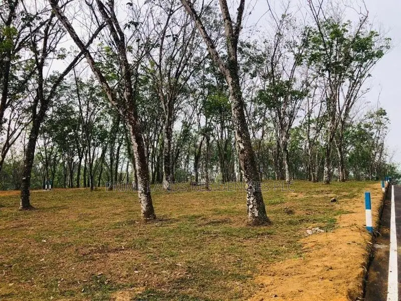 Land for Sale in Horana