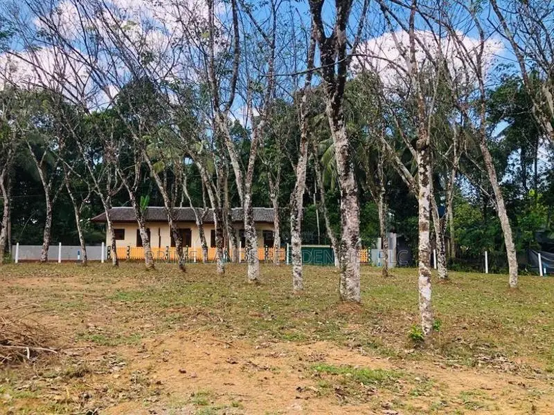 Land for Sale in Horana