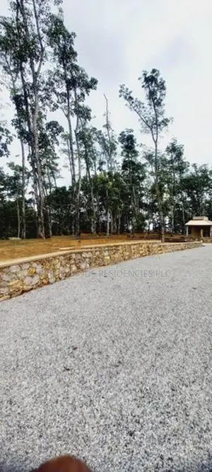 Land for Sale in Horana Ballapitiya