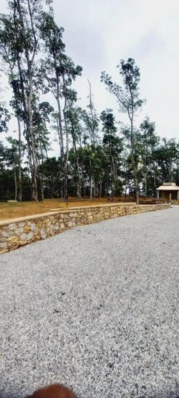 Land for Sale in Horana Ballapitiya