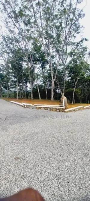 Land for Sale in Horana Ballapitiya