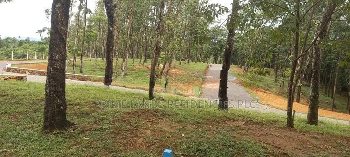 Land for Sale in Horana Ballapitiya