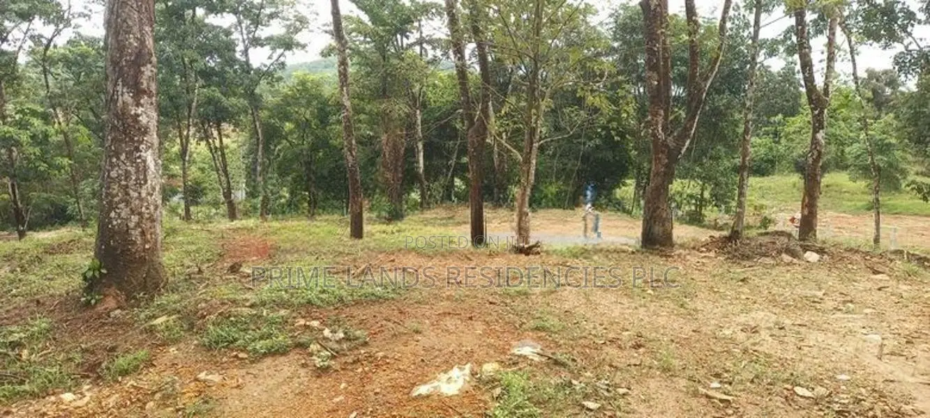 Land for Sale in Horana Ballapitiya
