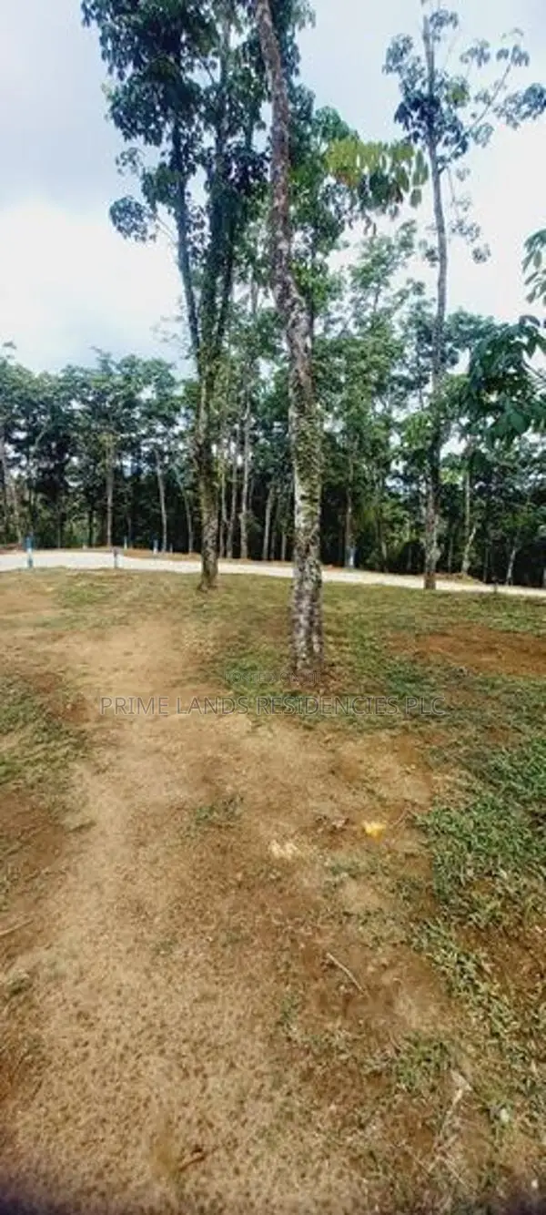Land for Sale in Horana Ballapitiya
