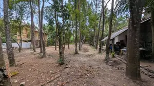 මිනුවන්ගොඩින් ඉඩමක් HS 12825