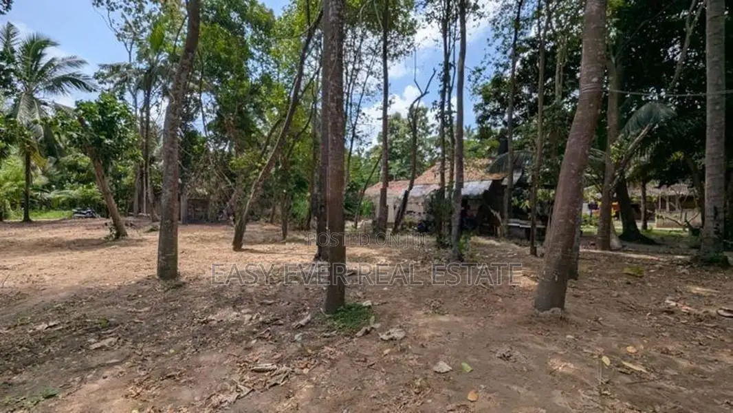 මිනුවන්ගොඩින් ඉඩමක් HS 12825