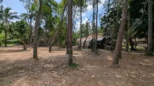 මිනුවන්ගොඩින් ඉඩමක් HS 12825
