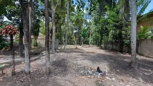 මිනුවන්ගොඩින් ඉඩමක් HS 12825