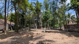 මිනුවන්ගොඩින් ඉඩමක් HS 12825